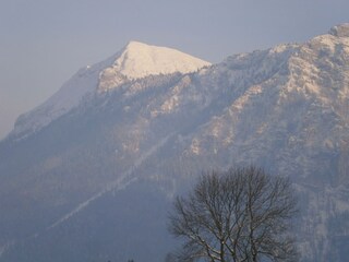 Gambskogel im Winter