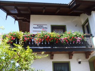 Blumenpracht am Balkon