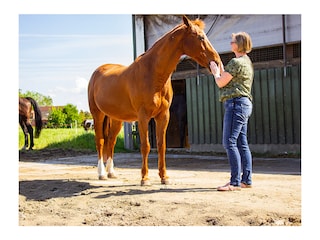 Vakantieappartement Grimersum Buitenaudio-opname 12