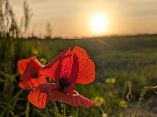 Appartement de vacances Grimersum Enregistrement extérieur 17