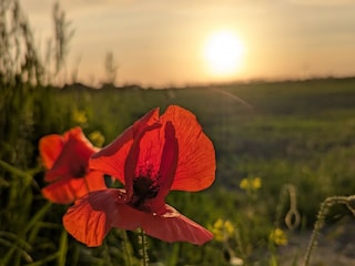 Vakantieappartement Grimersum Buitenaudio-opname 17