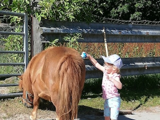 Vakantieappartement Grimersum Buitenaudio-opname 4