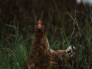 Apartamento de vacaciones Grimersum Grabación al aire libre 7