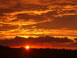 Appartement de vacances Grimersum Environnement 34