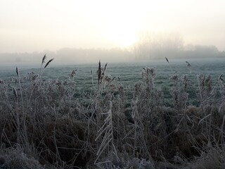 Appartamento per vacanze Grimersum Ambiente 35