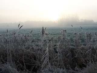 Vakantieappartement Grimersum Omgeving 35