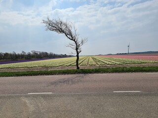 Vakantiehuis Sint Maarten Omgeving 39