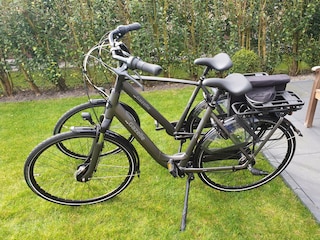 2 der vier Gazelle-Fahrräder