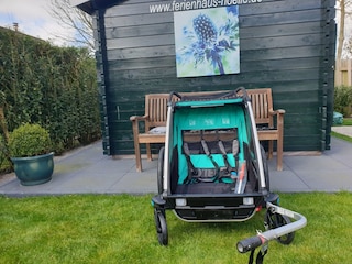 Der Thule-Kinderwagen-Anhänger