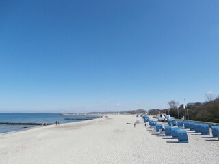 Strandkörbe im feinsten Sand!