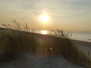 Vakantiehuis Breskens Omgeving 25