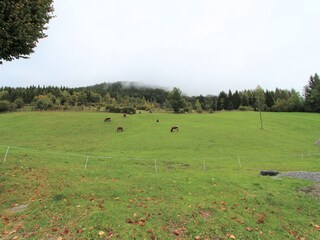 Bauernhof Fresach Außenaufnahme 4