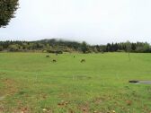 Casa de campo Fresach Grabación al aire libre 1