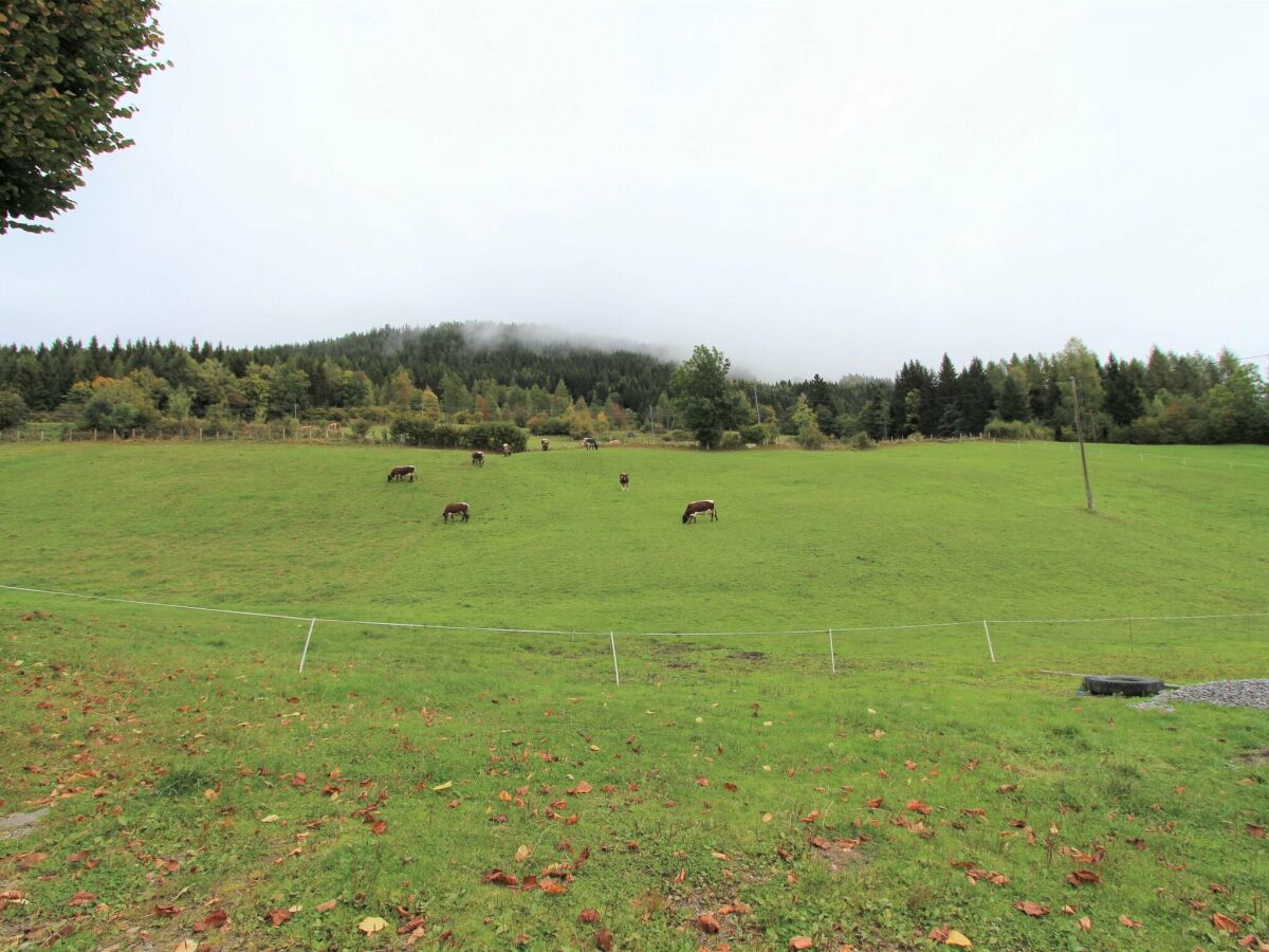 Boerderij Fresach Buitenaudio-opname 1