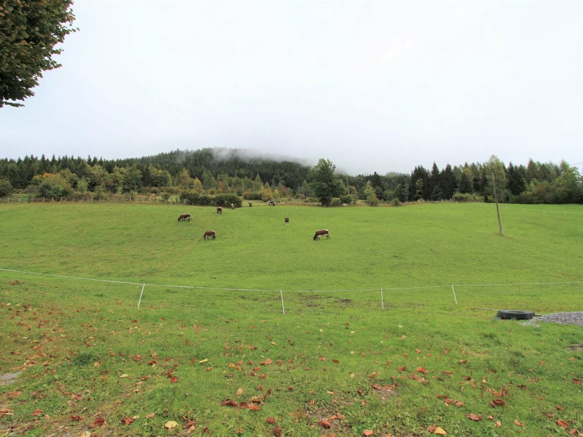 Type de propriété : Ferme Fresach Enregistrement extérieur 1