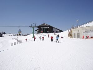 Bauernhof Ferienwohnung in Fresach nahe Millstaetter See - Fresach - image1