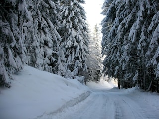 Bauernhof Fresach Umgebung 19