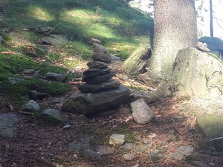 Waldspaziergang