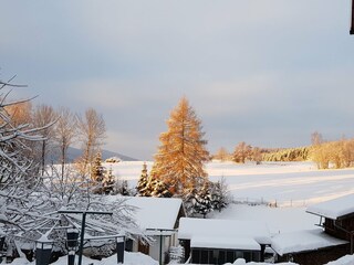 Schneelandschaft