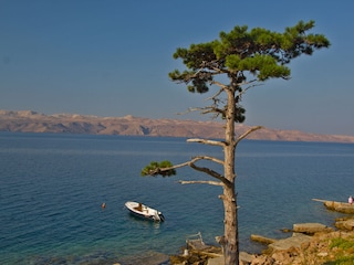 Maison de vacances Karlobag Environnement 32