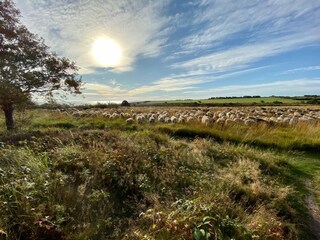 Appartamento per vacanze Kampen Ambiente 19