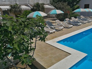 Ferienwohnung Anita  - Pool im Garten mit  Meerblick