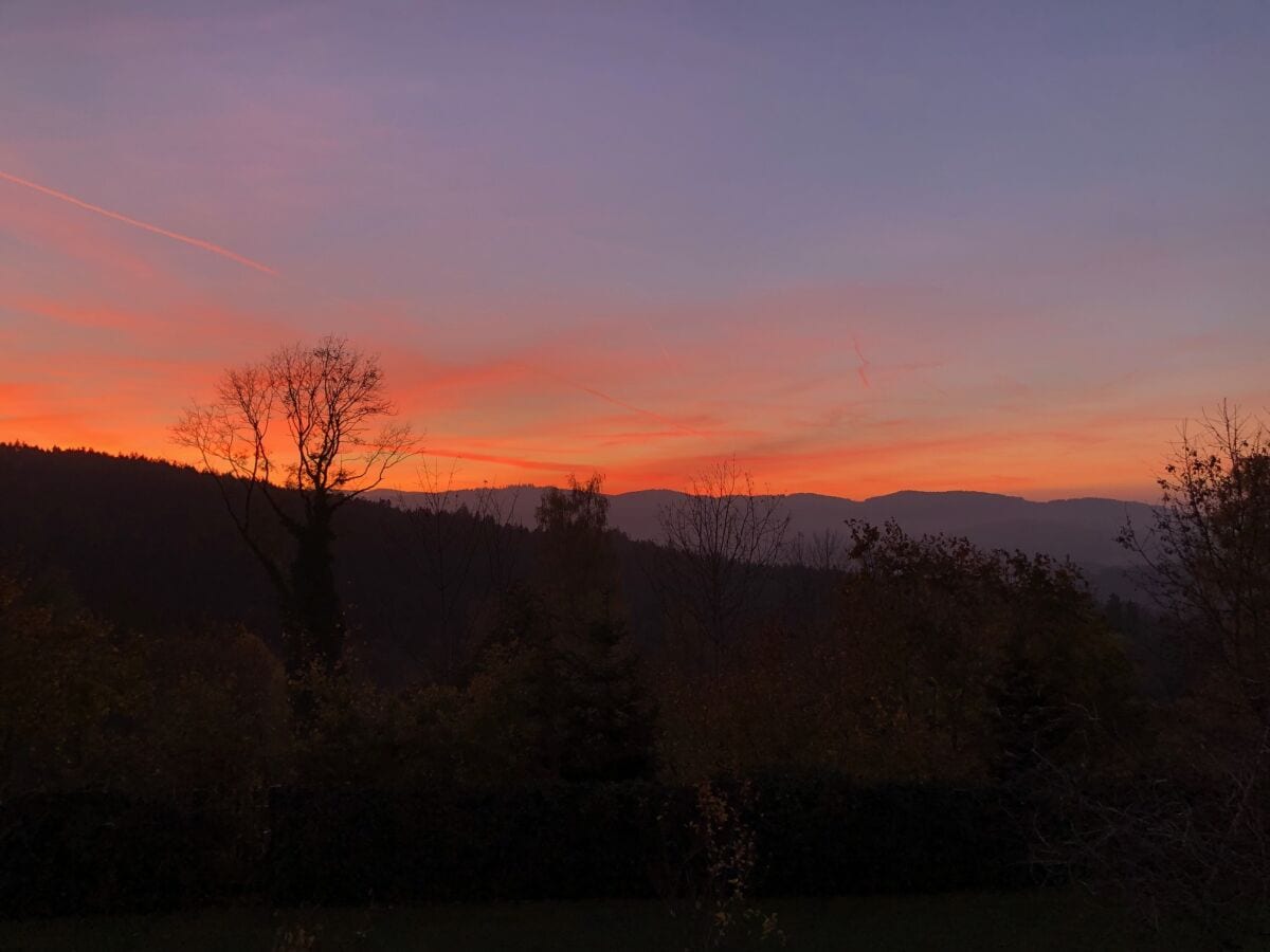 Dein Ausblick in den Abendhimmel