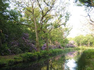 Casa per le vacanze Oostkapelle Ambiente 15