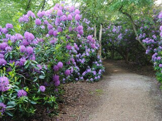 Casa per le vacanze Oostkapelle Ambiente 16