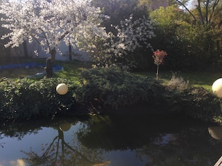 Blick in den Garten