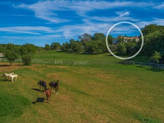 Villa Barat Ambiente 20