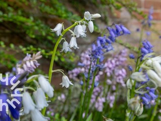 Casa per le vacanze Domburg Ambiente 23