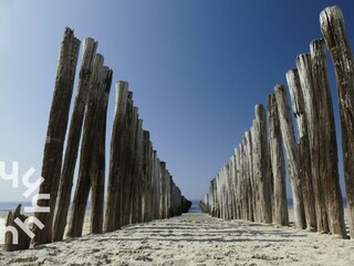 Casa per le vacanze Domburg Ambiente 33