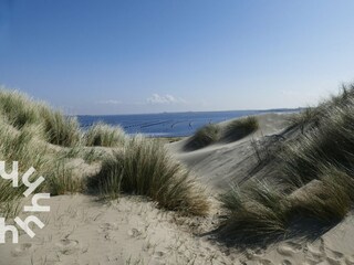 Holiday house Domburg Environment 34