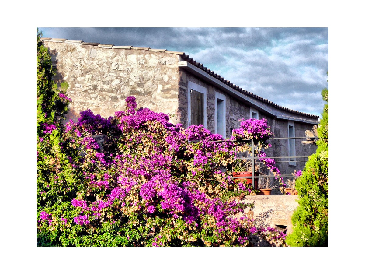 Ferienhaus Cala Ratjada Außenaufnahme 10