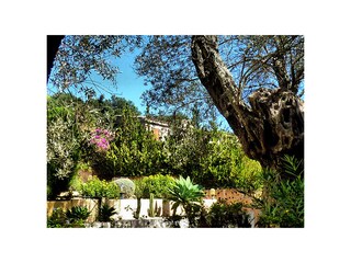 Casa per le vacanze Cala Ratjada Registrazione all'aperto 8