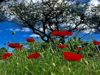 Villa Les Vans Ambiente 27