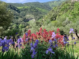 Villa Les Vans Omgeving 28