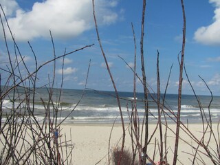 Blick von den Dünen zum Meer