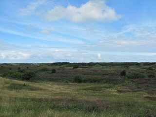 Dünenlandschaft