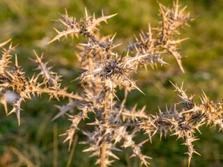 Appartement Baska Omgeving 17