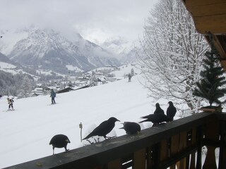 Appartamento per vacanze Hirschegg im Kleinwalsertal Ambiente 12