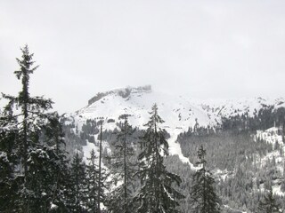 Appartamento per vacanze Hirschegg im Kleinwalsertal Documento 21