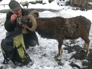 Appartamento per vacanze Hirschegg im Kleinwalsertal Documento 23