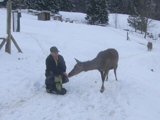Appartamento per vacanze Hirschegg im Kleinwalsertal Registrazione all'aperto 8