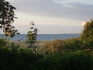 Blick aufs Meer