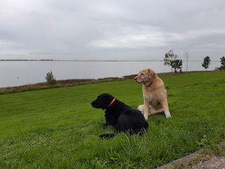 Badestrand Hundebereich