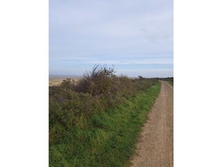 Casa de vacaciones Ouddorp Entorno 29