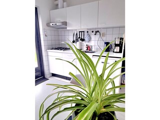 Ferienhaus Ouddorp Außenaufnahme 10