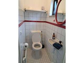 Vakantiehuis Ouddorp Buitenaudio-opname 16